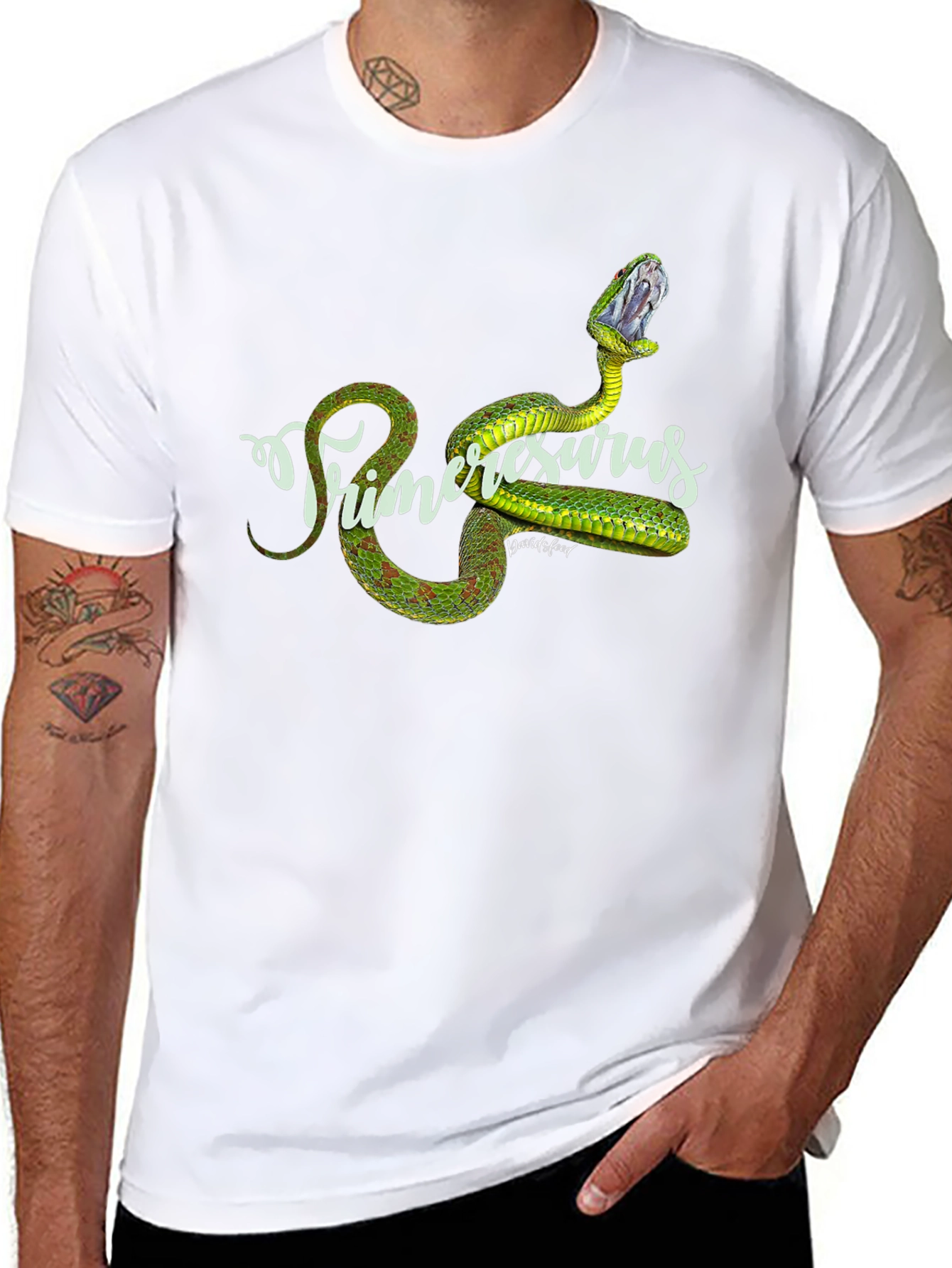 Primeresurus Snake Graphic Black T-Shirt