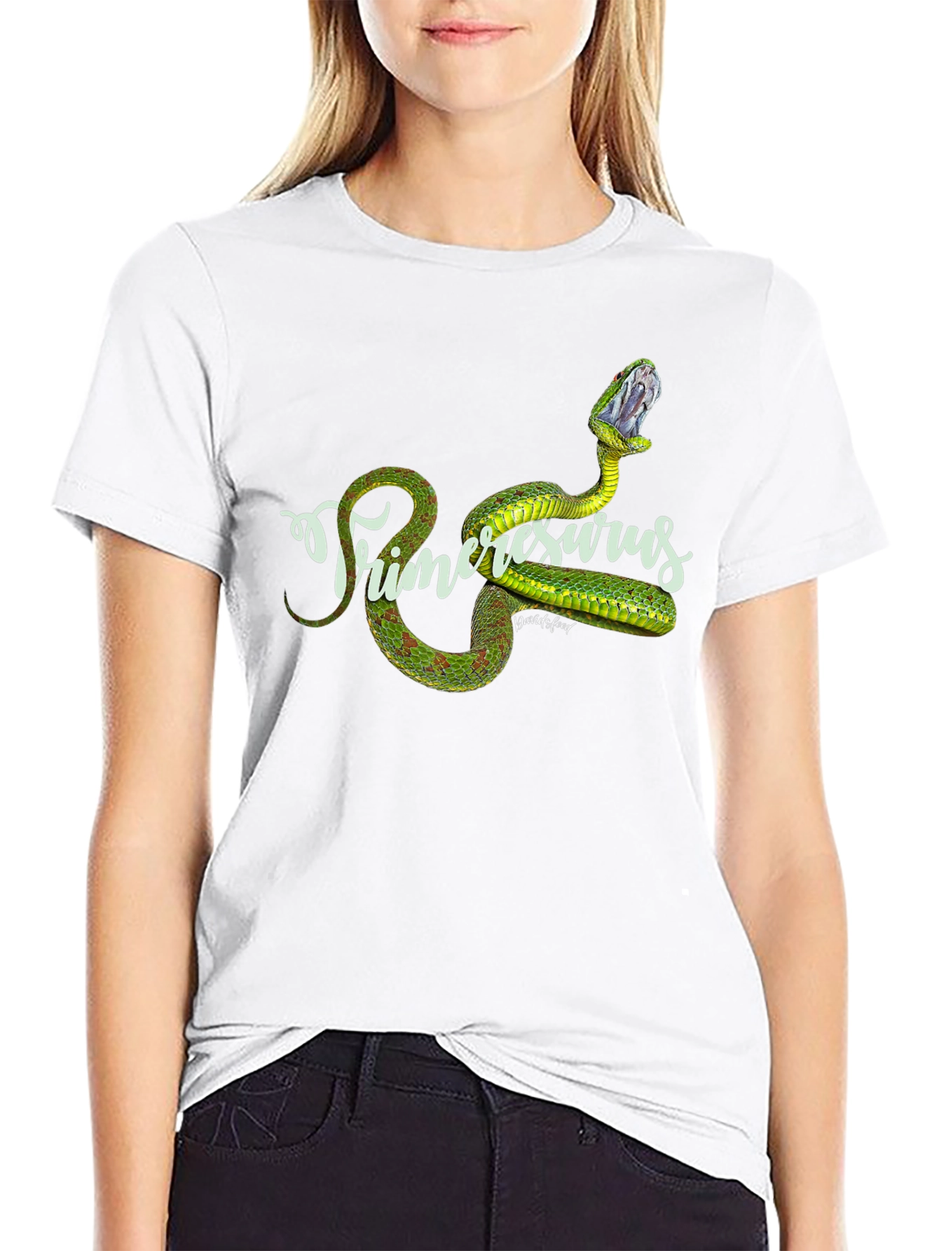 Primeresurus Snake Graphic Black T-Shirt
