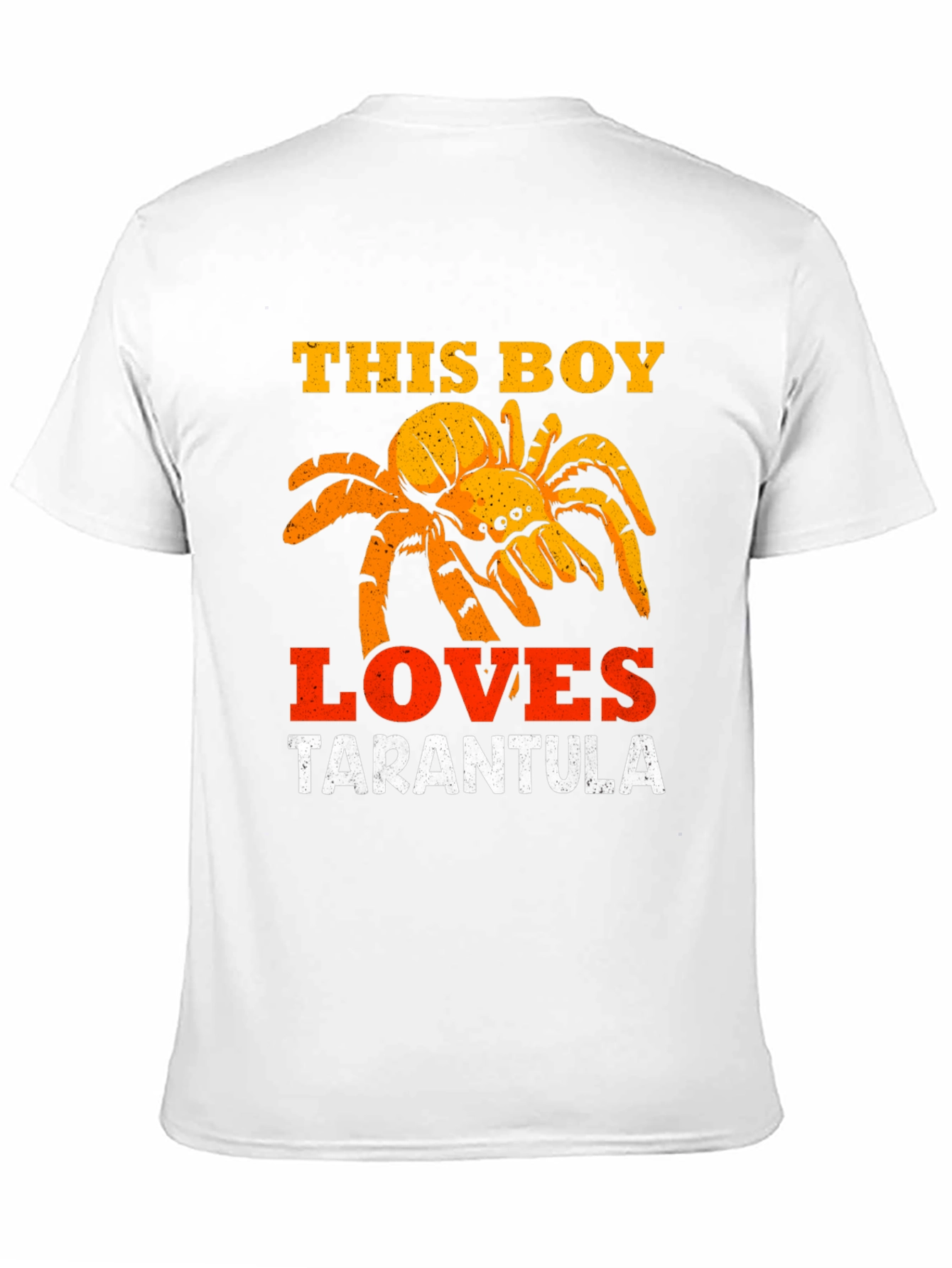 Tarantula Lover Graphic Tee for Boys