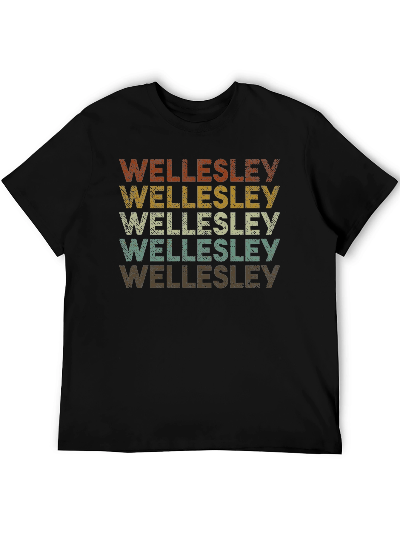 Wellesley Retro Style Graphic Tee